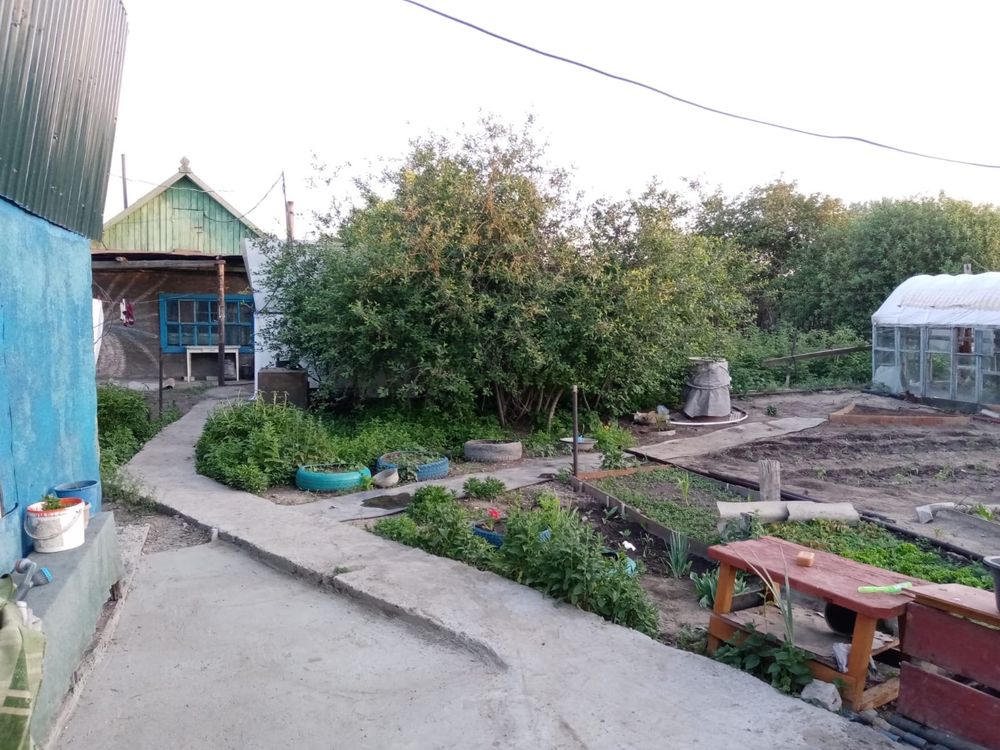 Продам дачу с насаждениями