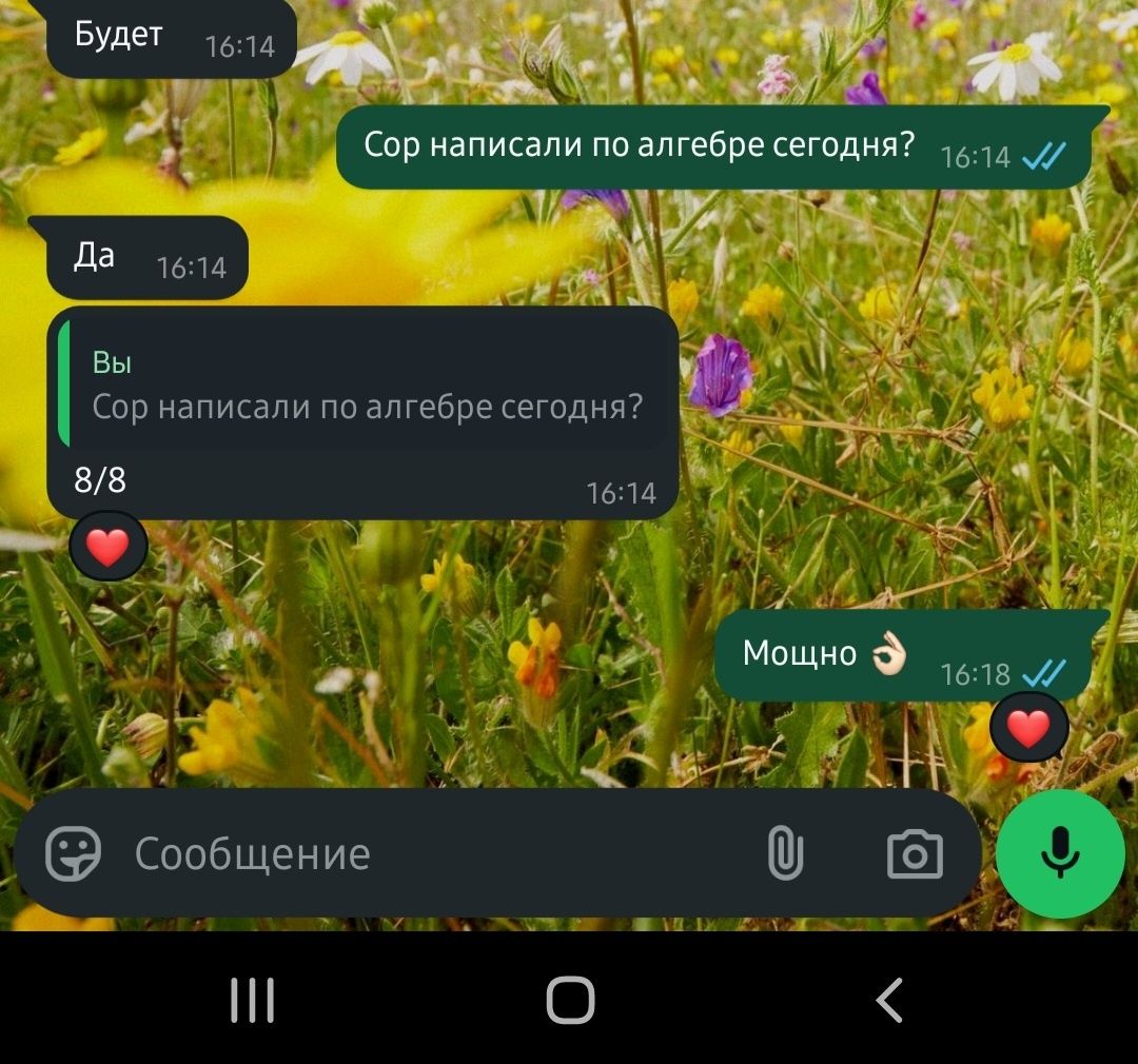 Репетитор Математики и Физики