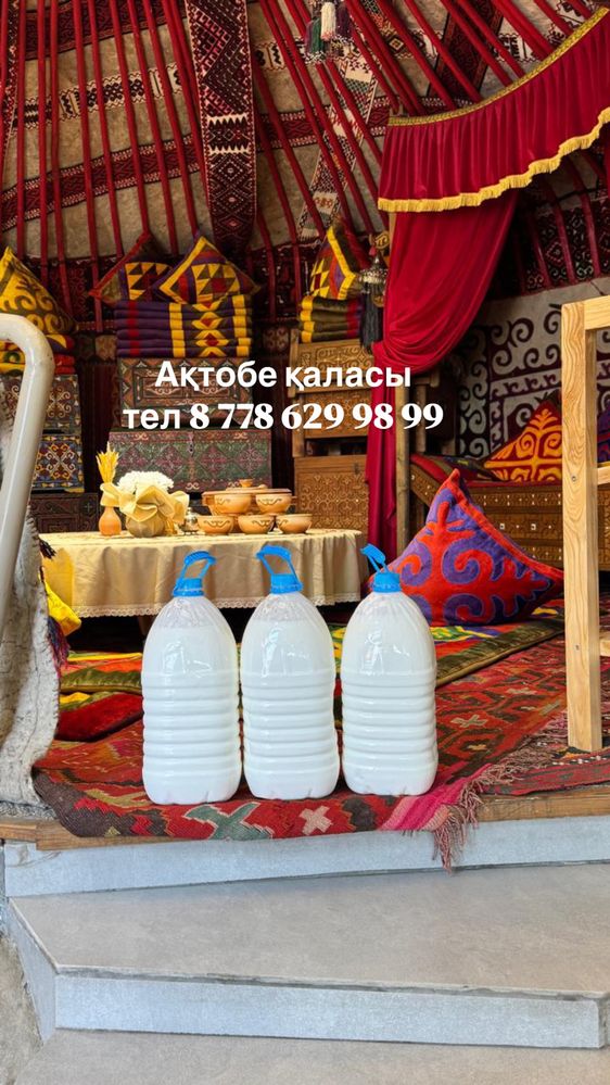 Табиғи,уй жағдайында дайындалған  АРАЛ Шұбат
