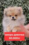 Хотите прекрасное настроение? Мы подарим его вам
