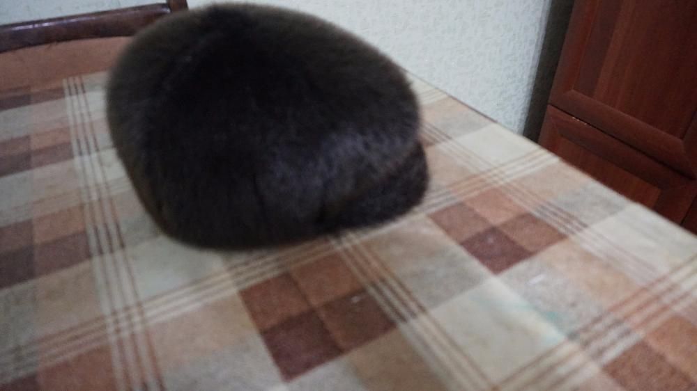 Продам мужскую шапку (морской котик)