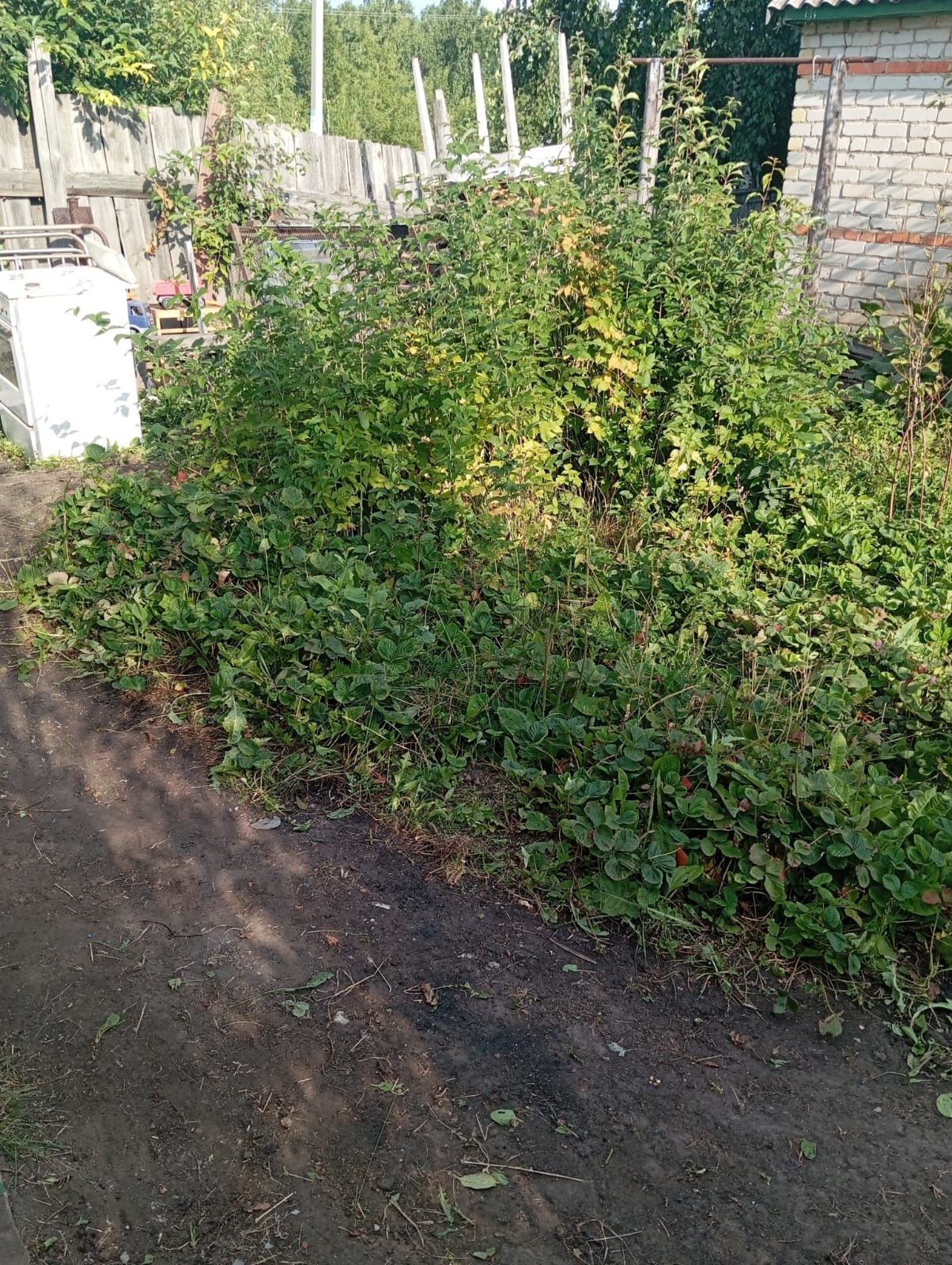 Продам дачу.новопавловка