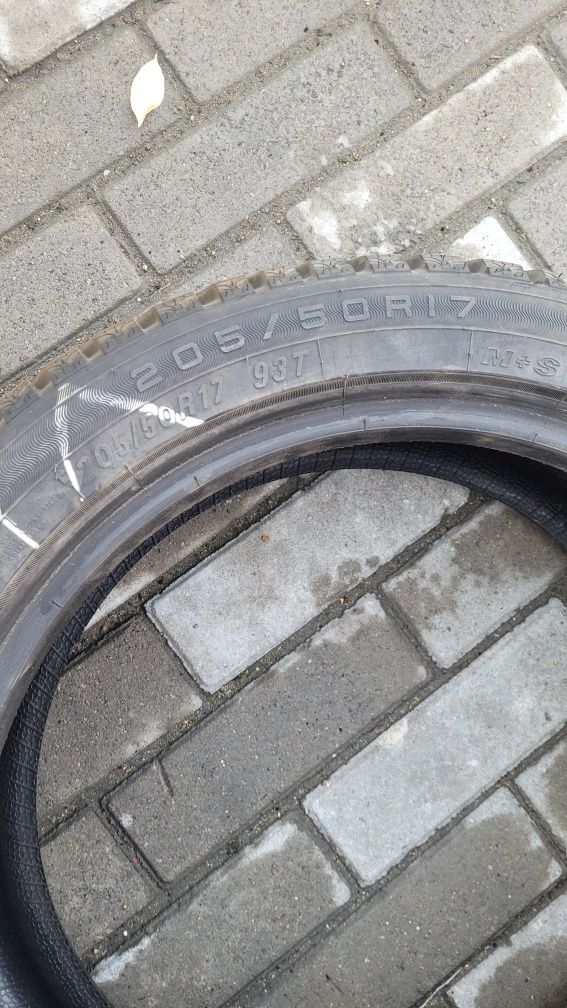 Шины зимние шипованные Maxxis