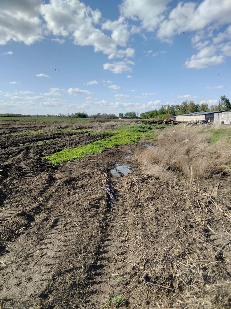 Продам землю в Байсерке