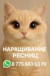 Наращивание ресниц с выездом/Ламинирование и коррекция бровей на выезд