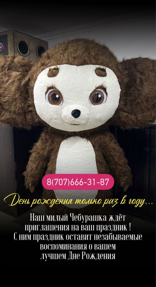 Чебурашка на ваше день рождения Аниматоры Поздравление Сюрприз