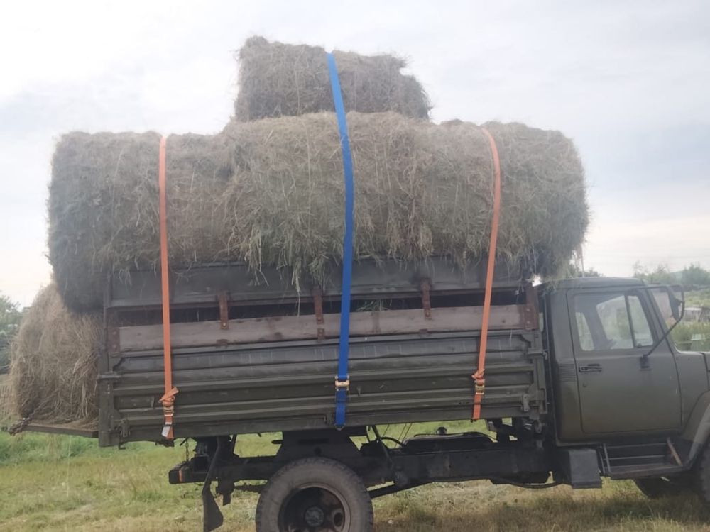Продам сено «луговое разнотравие»