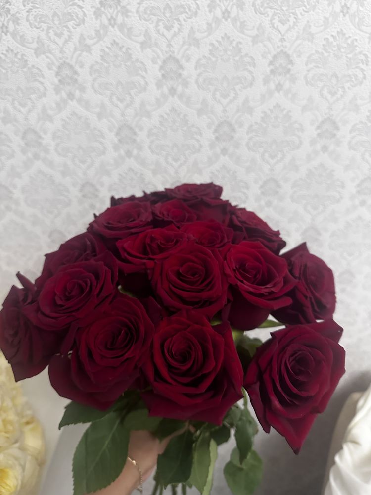 Продам розы 19 штук