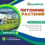 Озеление , сад , земля , посадка , обработка