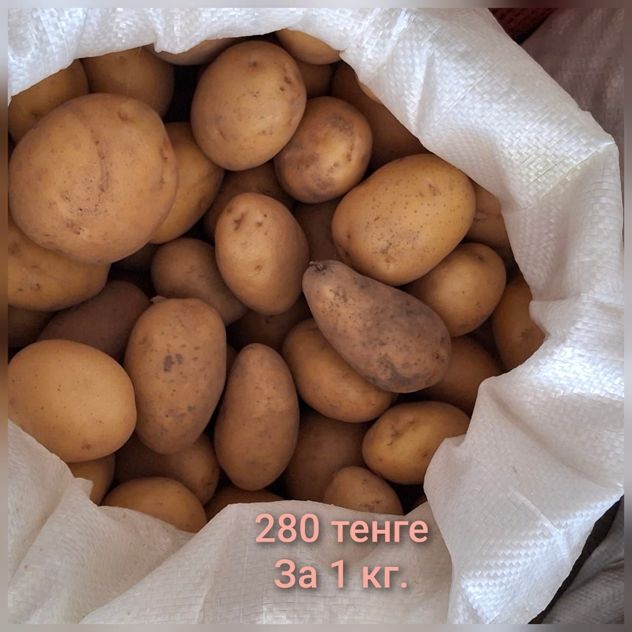Продается свежая картошка урожай 2025 год.