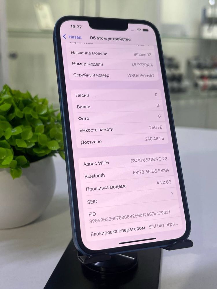 Iphone 13 256 Gb