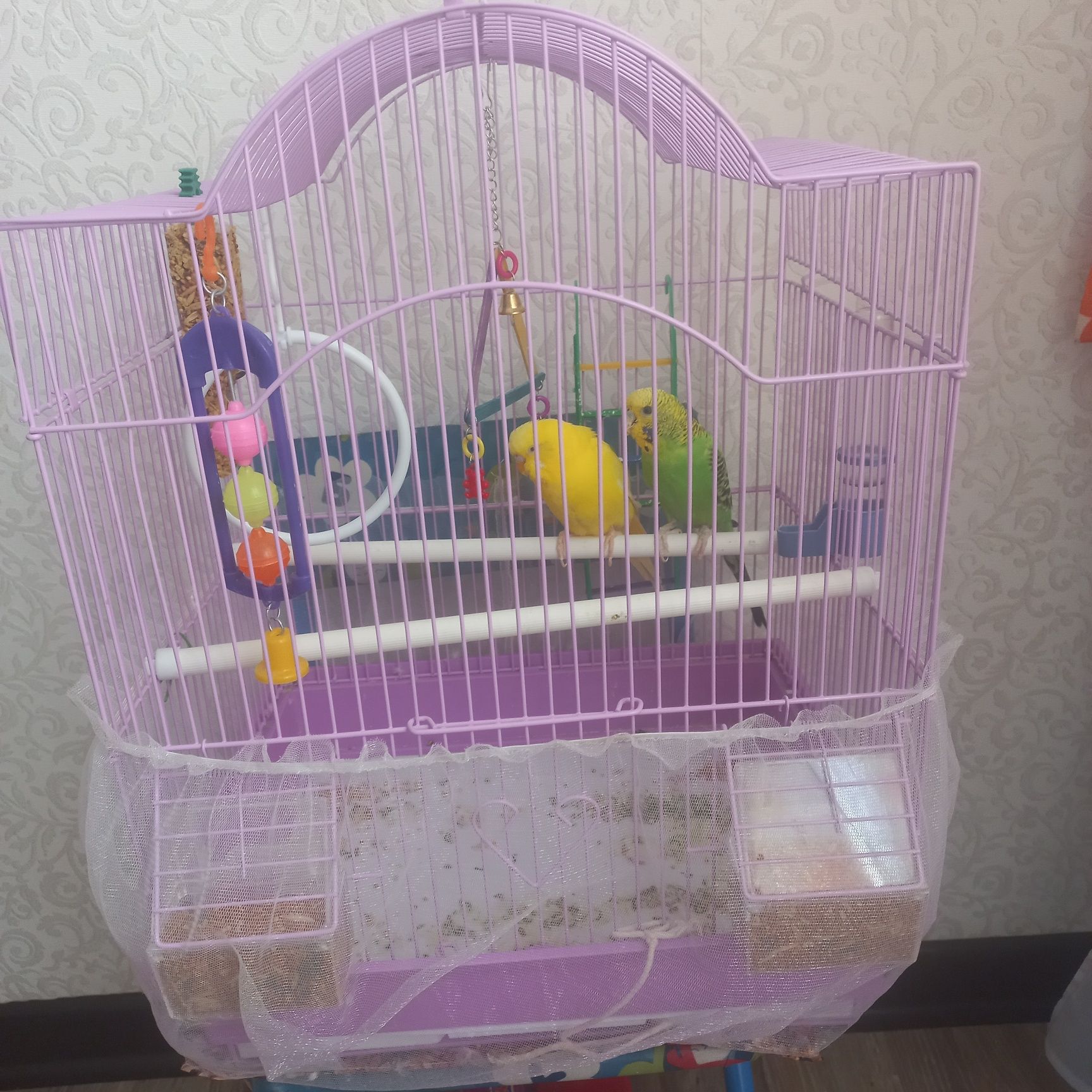 Срочно продам...