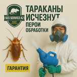 Тараканы и клопы? СЭС решит проблему за 1 визит!