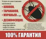 Дезинфекция , Дезинсекция Заказное убиство