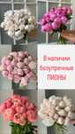 Пионы, розы, гортензии, хризантемы