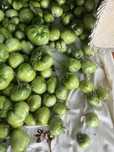 Продам помидоры зеленые крупные