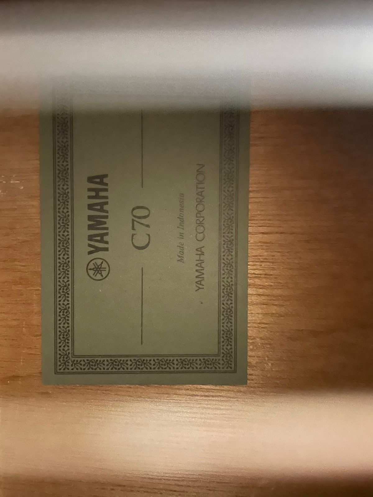 Продам Гитару C70