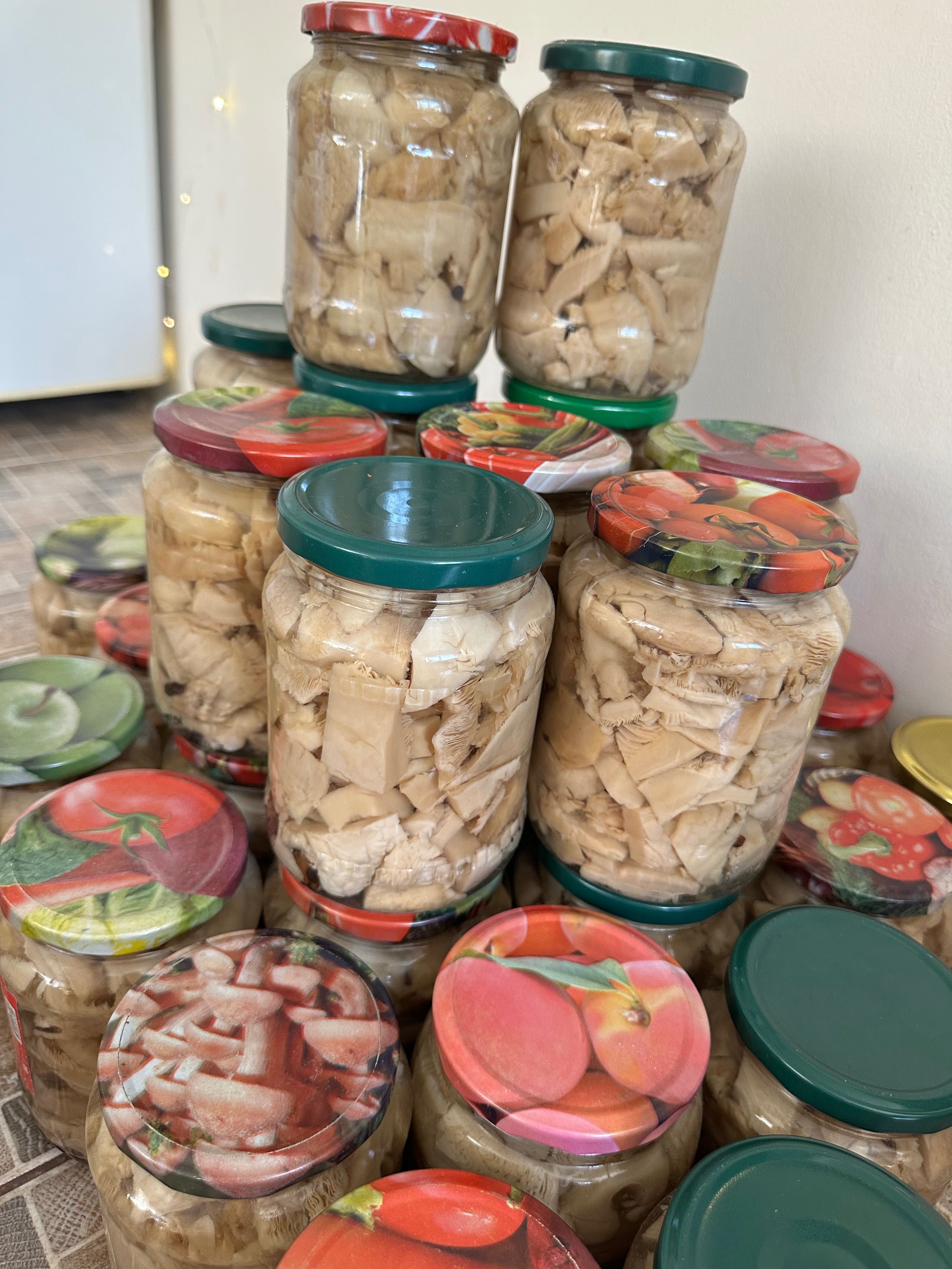 Белые степные грибы маринованные
