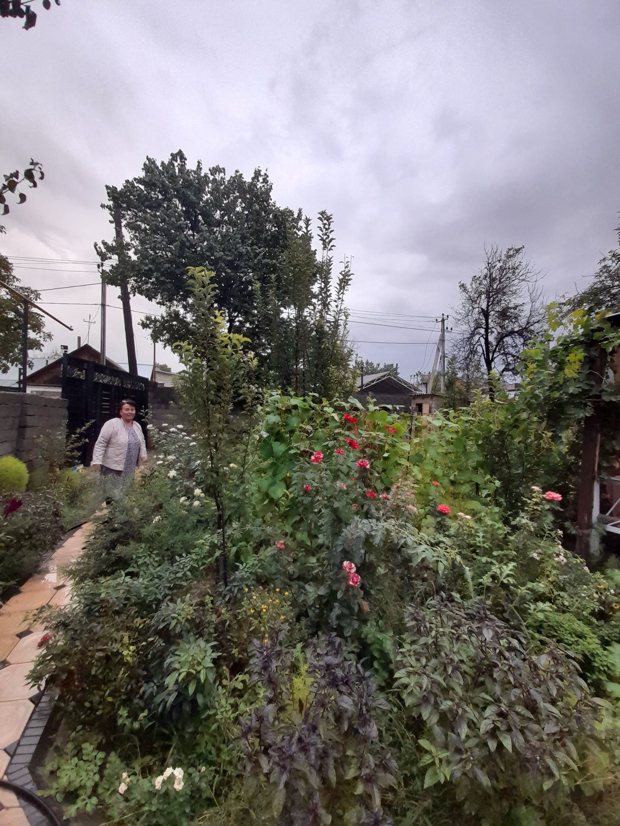 продам дом на даче кайнарбулак