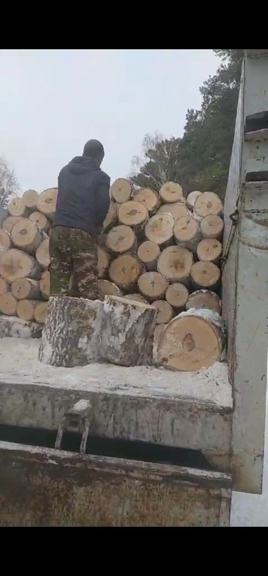 Дрова березовые рубленные и чурками