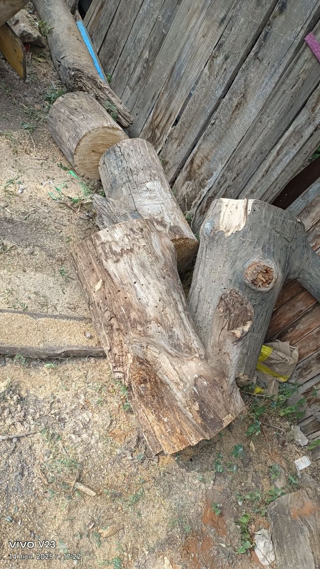 СРОЧНО  дрова на шашлыки,баню отдам