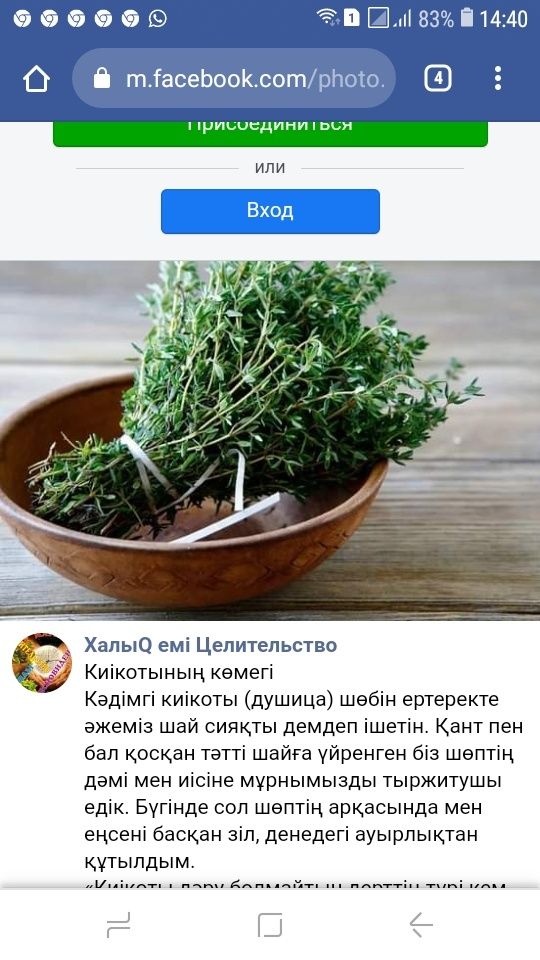 Киготы, киікоты, душица, зизифора