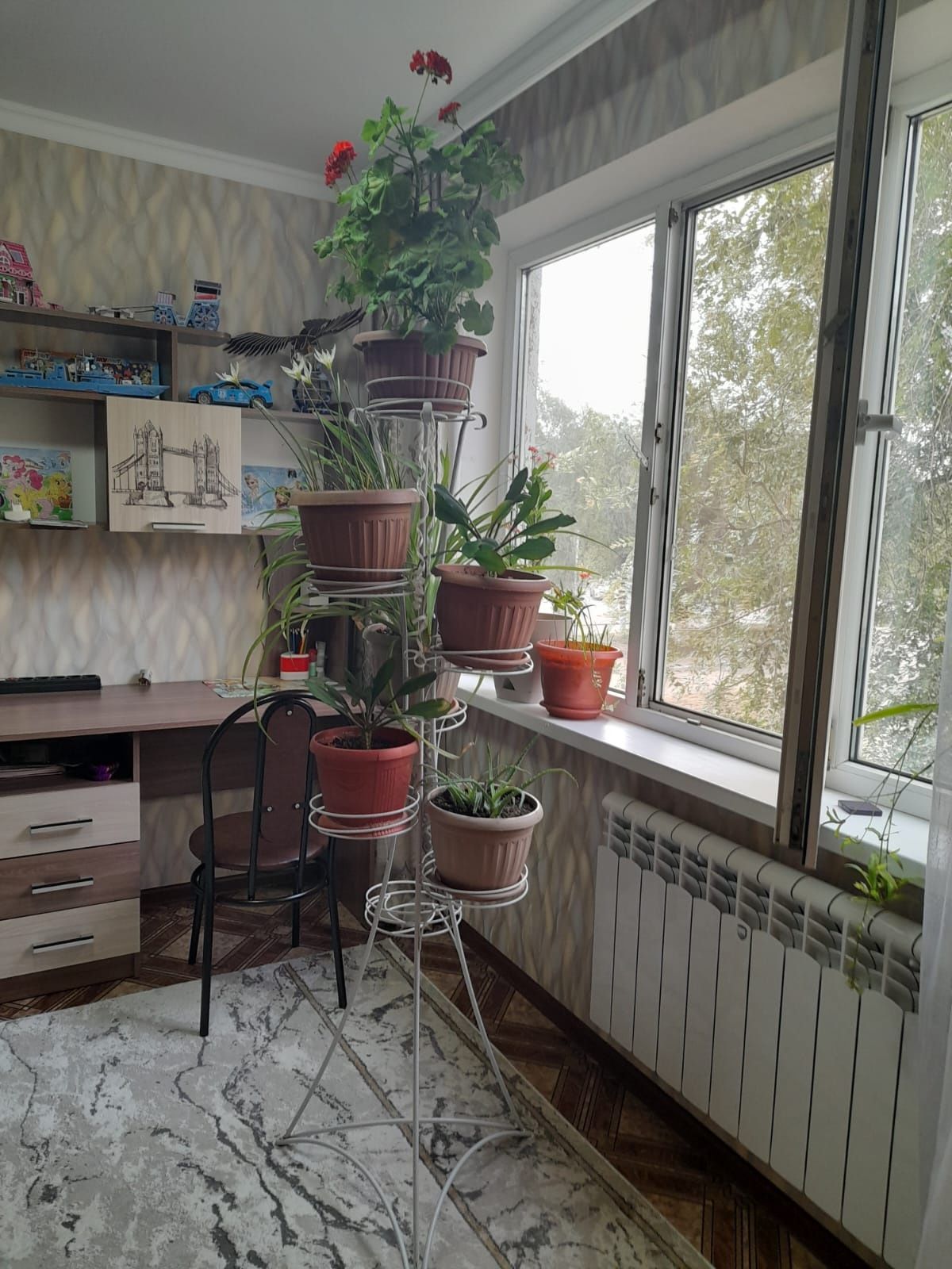 Продам цветы и стойки для цветов