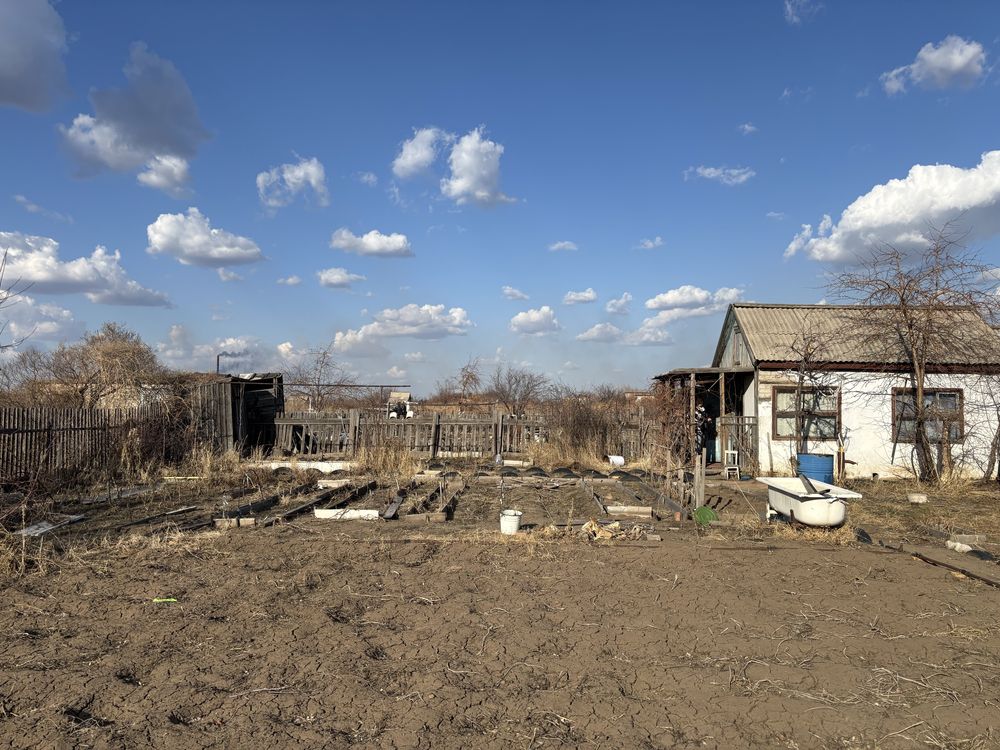 Продам дачу садовтсво яблонька грушевая алея