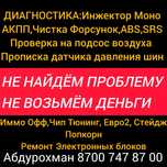 Диагностика ,инжектор,   моно
