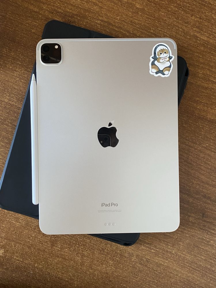 Ipad pro m2(11дюм 2022жыл)