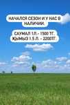 Кумыс,кымыз по 2200 тг.Саумал