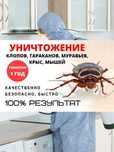 Дезинфекция Уничтожение тараканов клопов вшей блох крыс мышей муравьев
