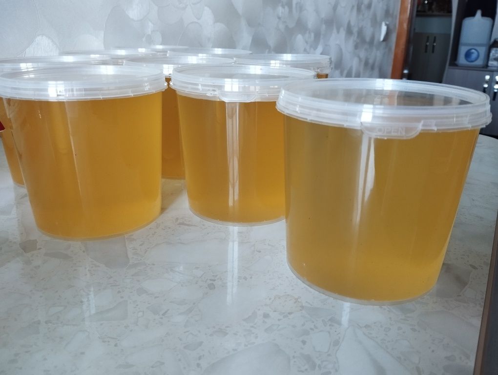 Продам свежий мёд