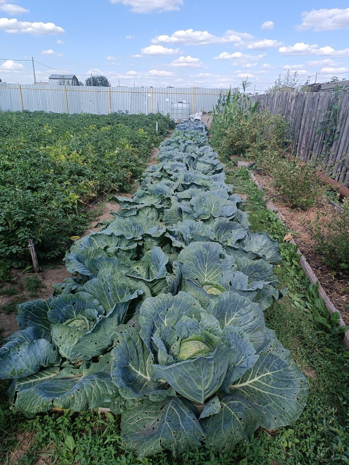 Продам дачу на федоровке