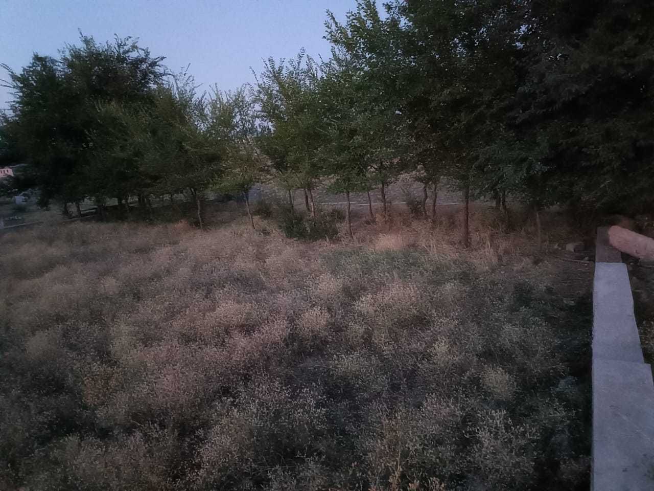участок 10 соток