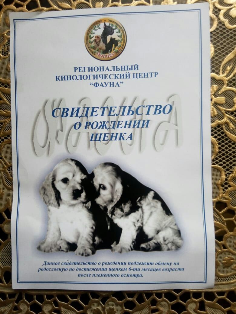 Вязка только вязка не продаю