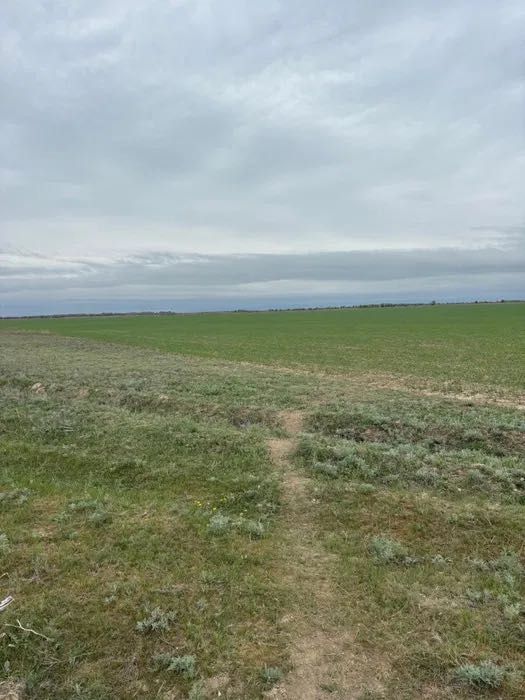Участок товарное сельхозпроизводство