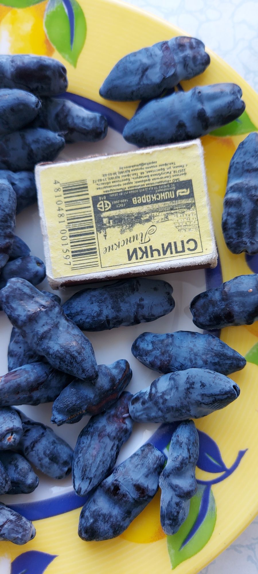 Продам саженцы декоративных и плодовых кустарников