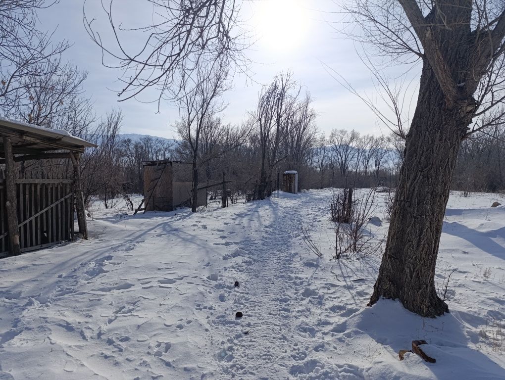 Алакольский р. Продам дом с участком