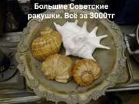 Винтажные штучки за копейки. Ракушки