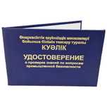 Обучение в области промышленной безопасности (Промбез, ПТМ, БиОТ)