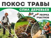Пакос травы , спил деревьев , уборка территории