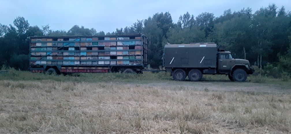 Продам мёд натуральный от крестьянского хозяйства