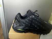 Nike Air Terra/Nocta