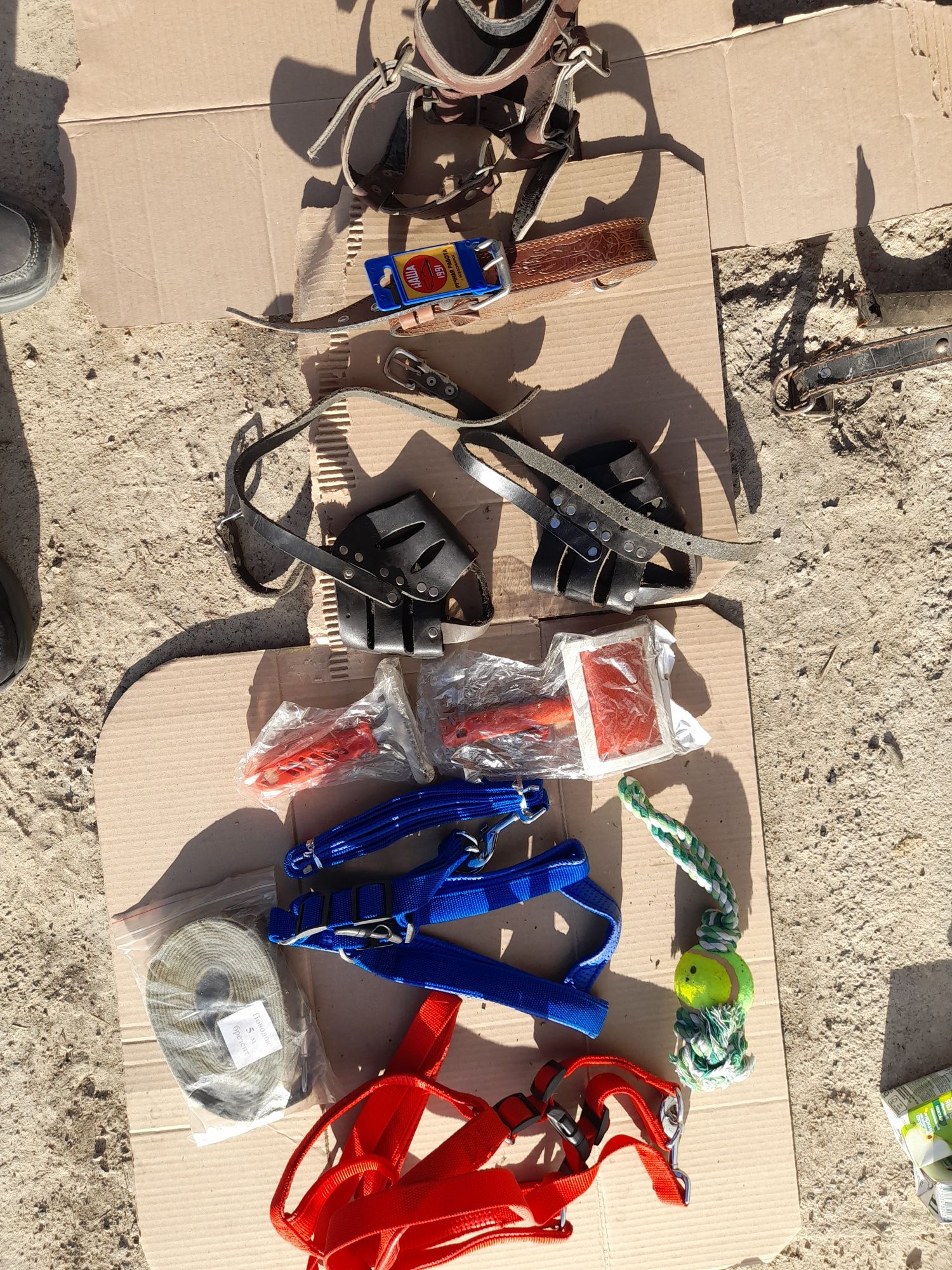 Продам шлейку с поводком для собак