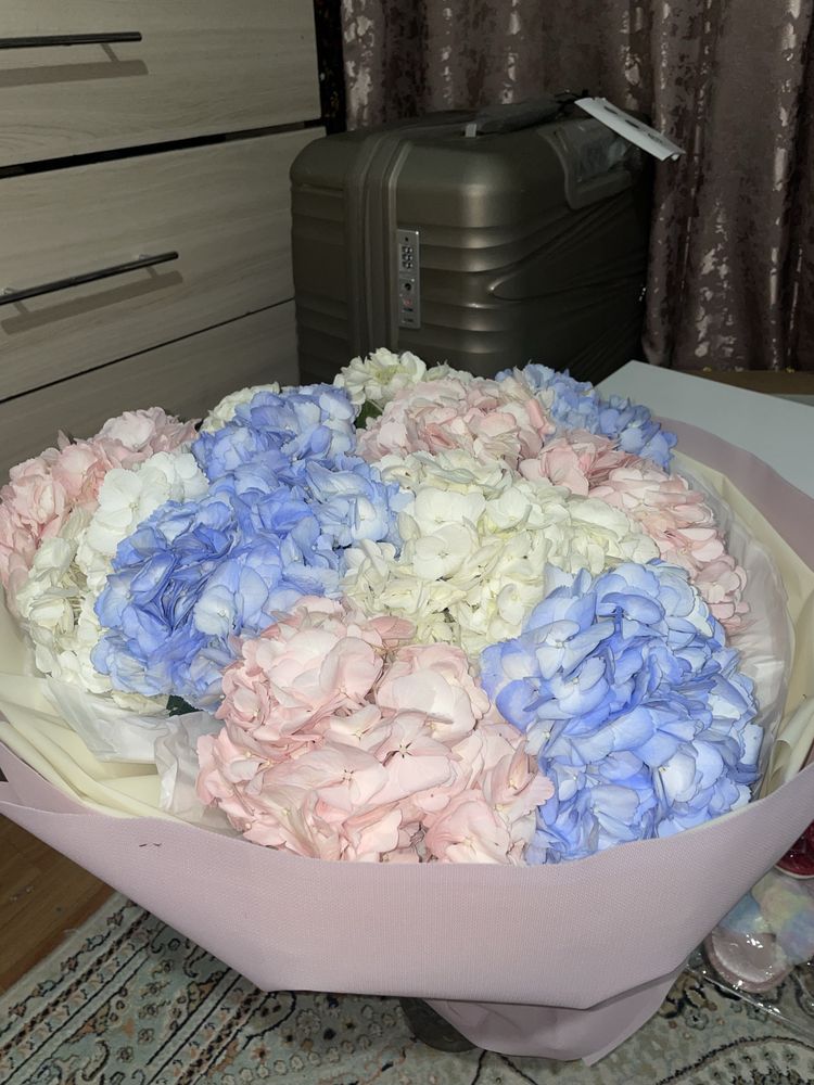 Цветы гортензия свежые