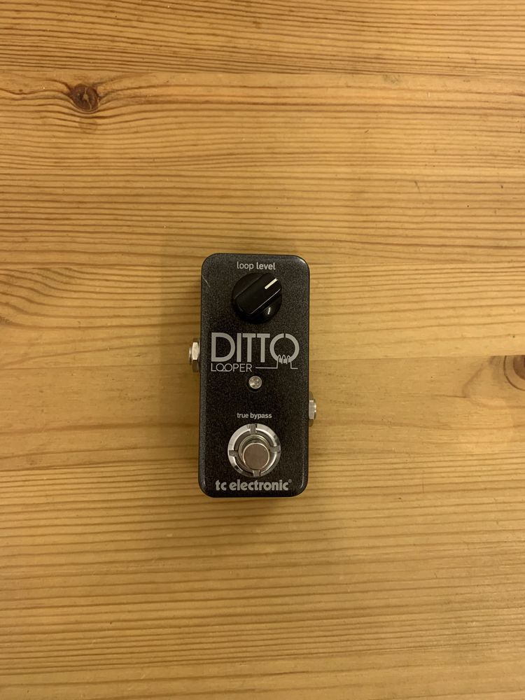 Продам TC Electronic Ditto Looper — компактный гитарный лупер