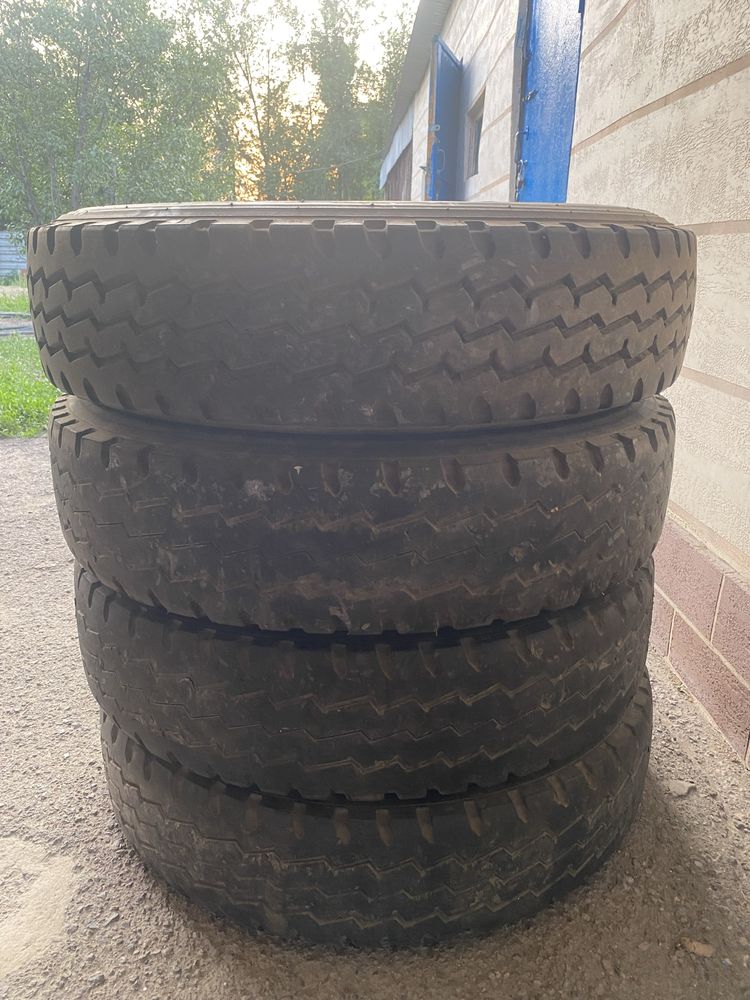 Шины зимние шипованные