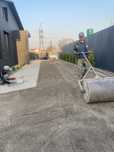 посев газона семенами от 600 до 1000 тг
