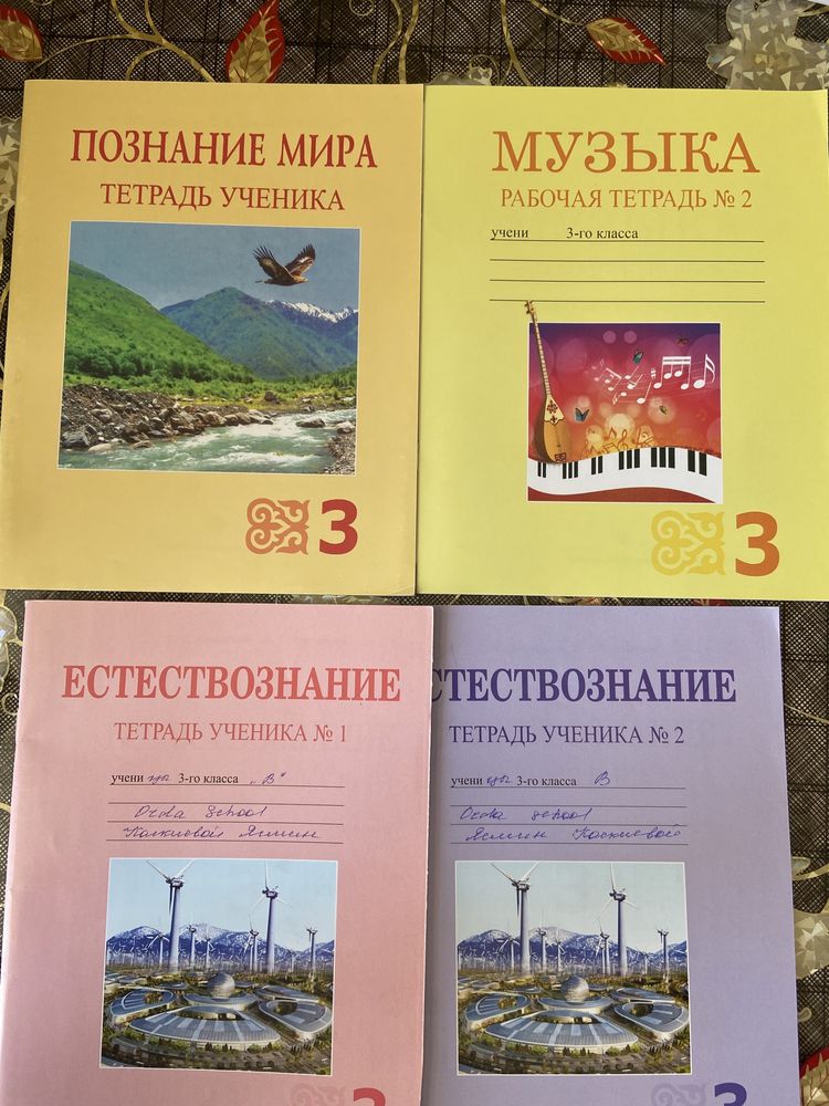Рабочие тетради за 3 класс для русских школ